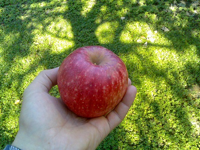 slika